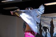 IMG_4390 