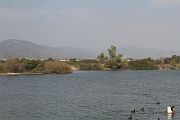 IMG_3363 