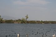IMG_3364 