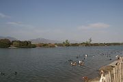IMG_3365 