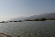 IMG_3367 