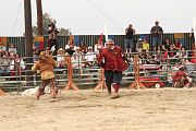 IMG_0810 