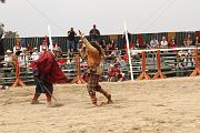 IMG_0817 