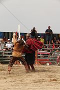 IMG_0826 