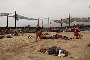 IMG_0981 