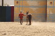 IMG_1149 