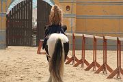 IMG_1150 