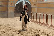 IMG_1153 