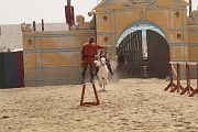 IMG_1156 