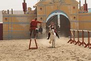 IMG_1161 