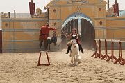 IMG_1162 