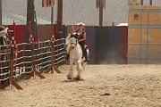 IMG_1185 