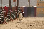 IMG_1186 