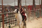 IMG_1198 