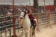 IMG_1200 