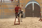 IMG_1207 