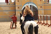 IMG_1221 