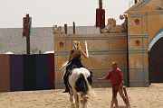 IMG_1231 