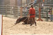 IMG_1282 