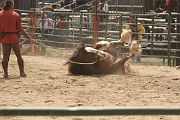 IMG_1293 
