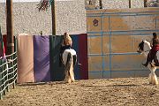 IMG_3402 