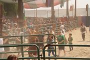 IMG_1376 
