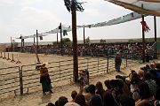 IMG_1390 