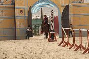 IMG_1391 