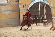 IMG_1420 