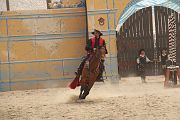 IMG_1421 