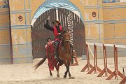 IMG_1425 