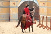 IMG_1431 