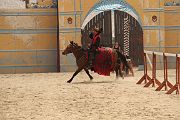 IMG_1460 