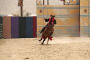 IMG_1463 