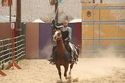 IMG_1487 
