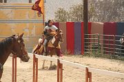 IMG_1557 