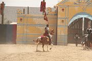 IMG_1584 
