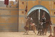 IMG_1587 