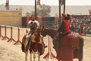 IMG_1601 