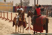 IMG_1609 
