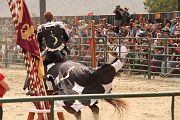 IMG_1809 