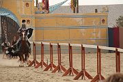 IMG_1893 