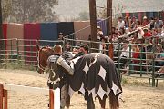 IMG_2028 