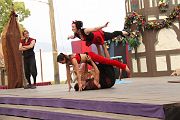 IMG_2231 