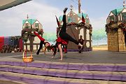 IMG_2697 