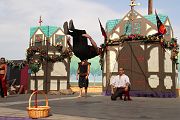 IMG_2704 
