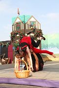 IMG_3294 