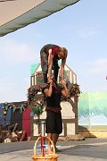 IMG_3307 