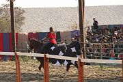 IMG_3481 