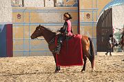 IMG_3497 